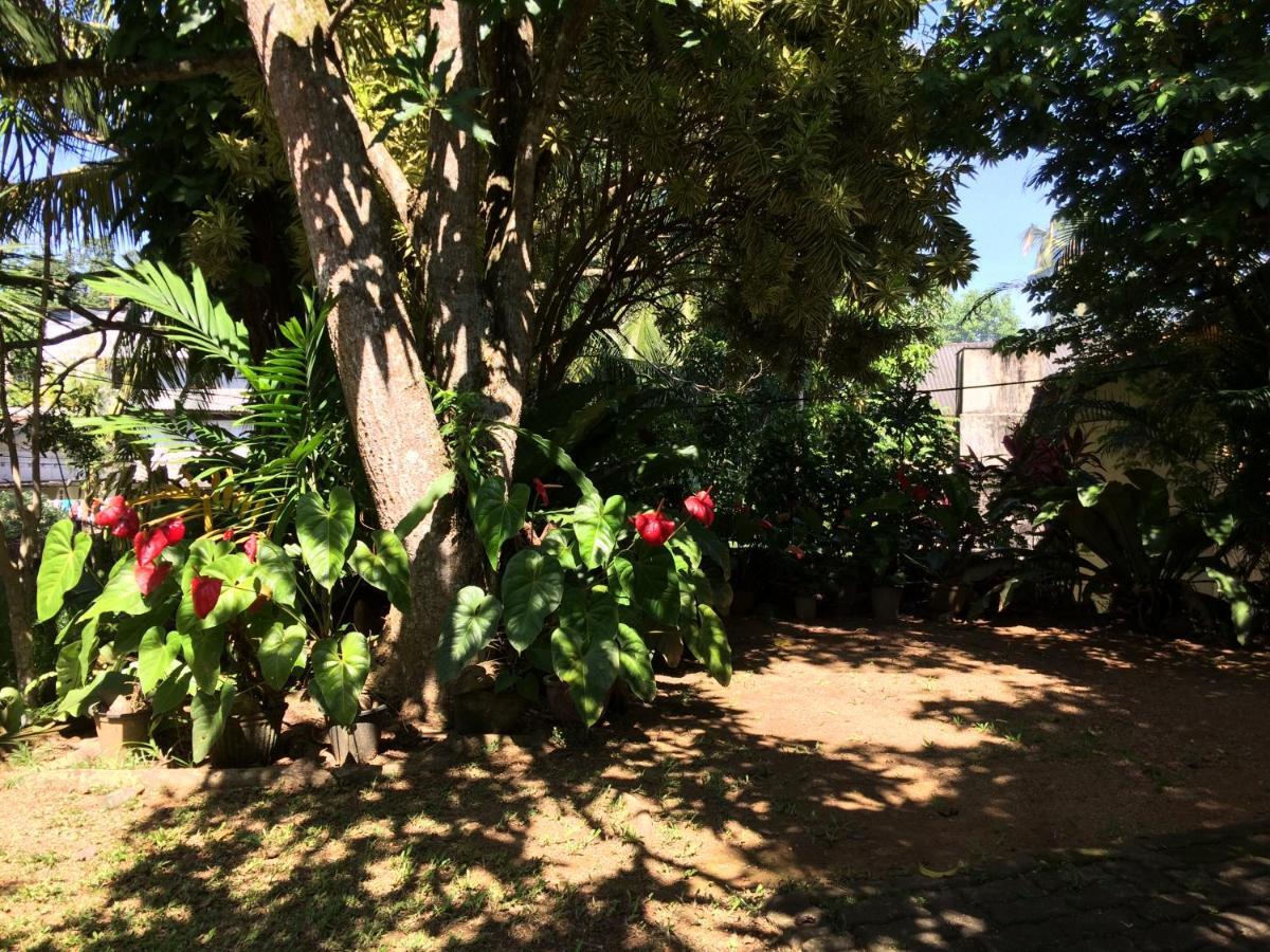 Galle Rest Home Экстерьер фото